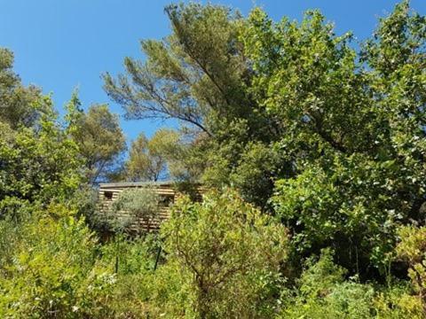 קוארס Cabane Dans Les Arbres "La Kaz Aux Cigales" מראה חיצוני תמונה