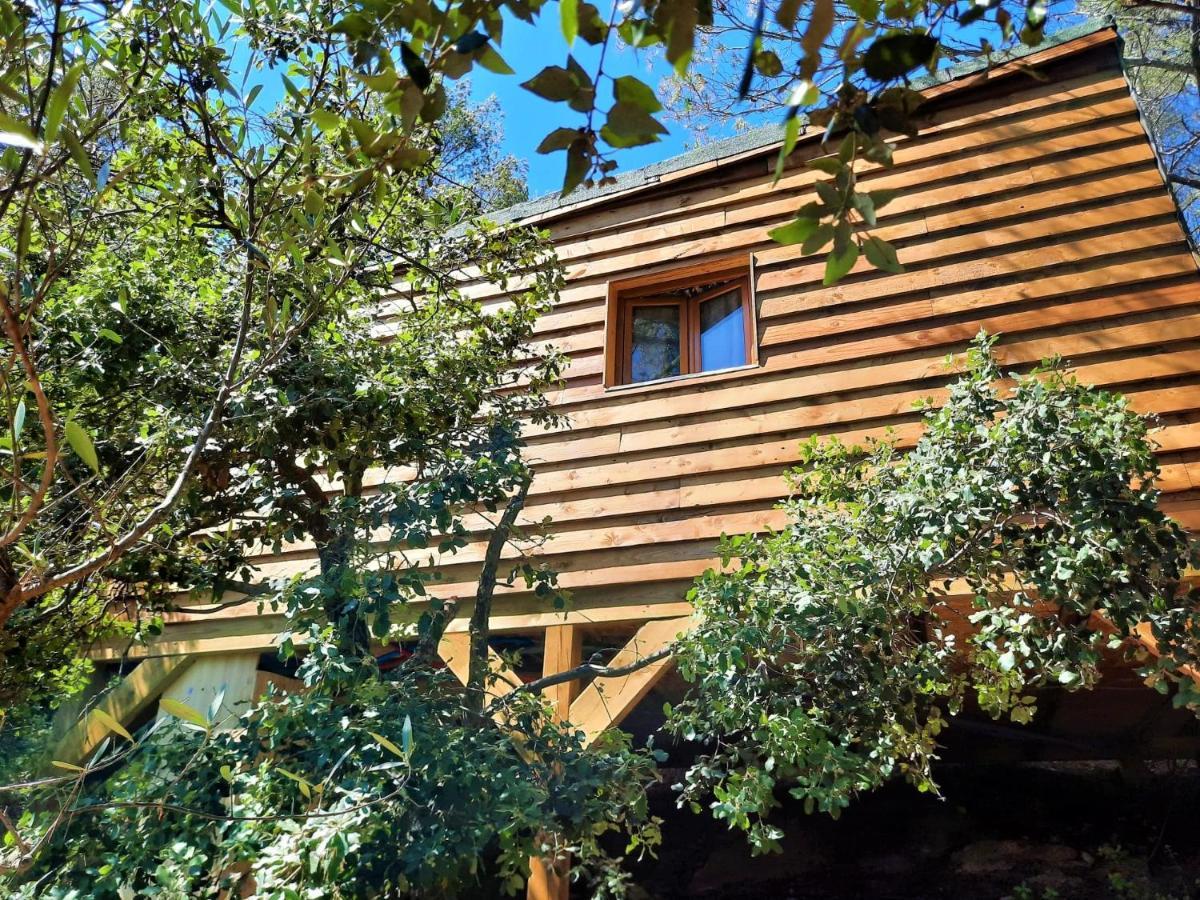 קוארס Cabane Dans Les Arbres "La Kaz Aux Cigales" מראה חיצוני תמונה